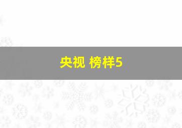 央视 榜样5